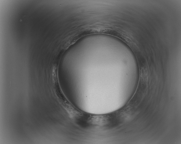 X0000073840127200608241027