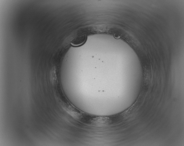 X0000073840128200608241027