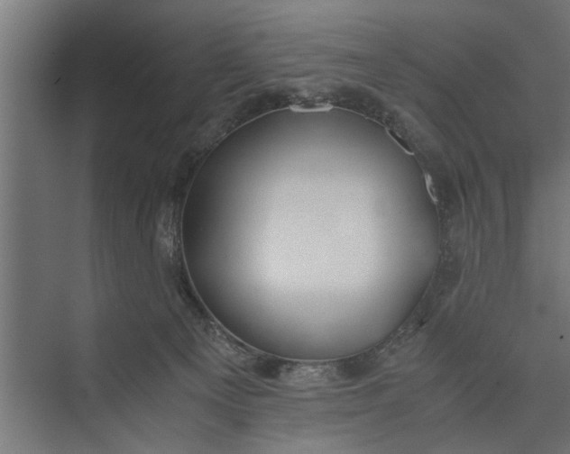 X0000073840129200608241027