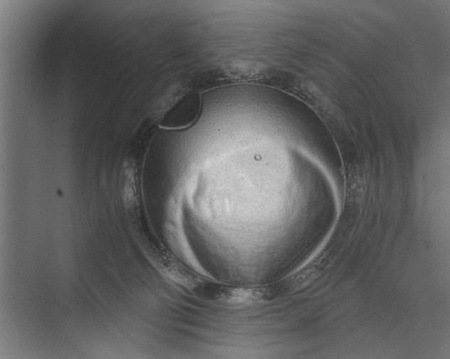 X0000073840130200608241027