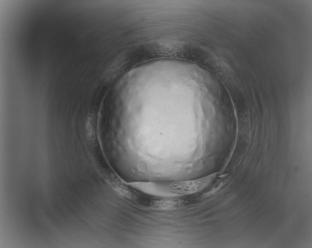 X0000073840131200608241027