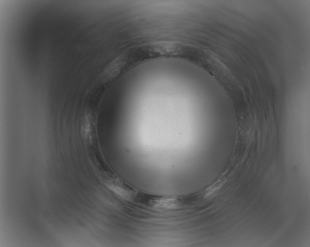 X0000073840132200608241027