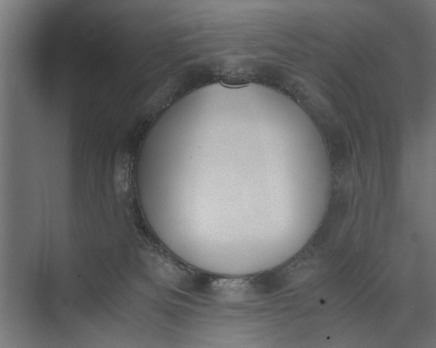 X0000073840133200608241026