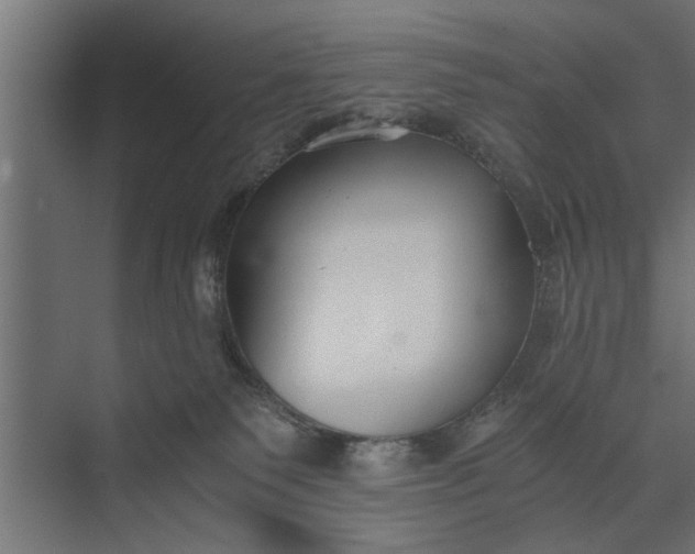 X0000073840135200608241026