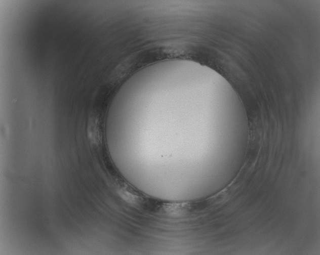 X0000073840136200608241026