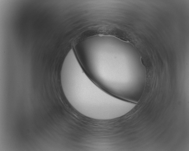 X0000073840137200608241026