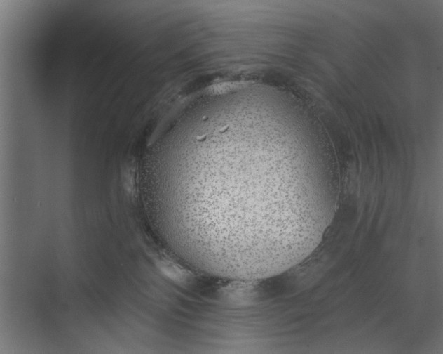 X0000073840138200608241026