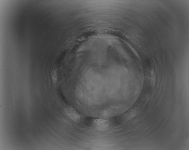 X0000073840139200608241026