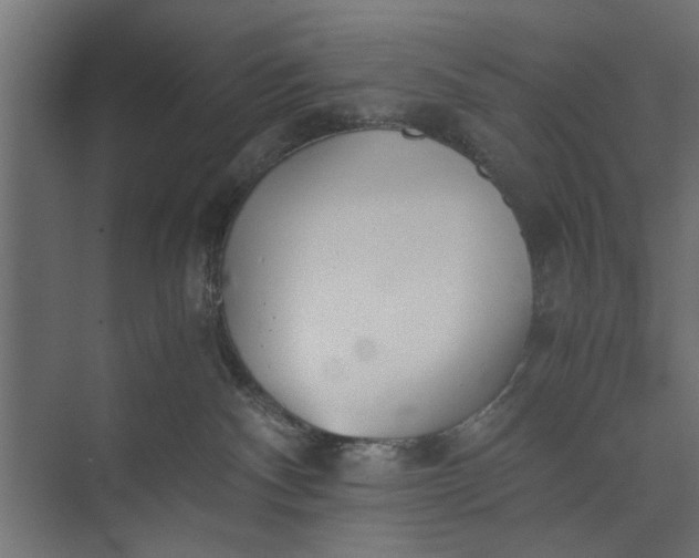 X0000073840140200608241026