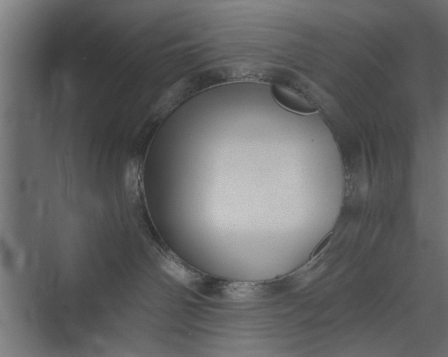 X0000073840142200608241026