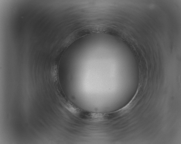 X0000073840144200608241026