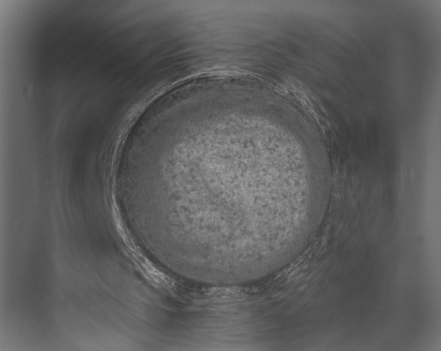 X0000073840145200608241026