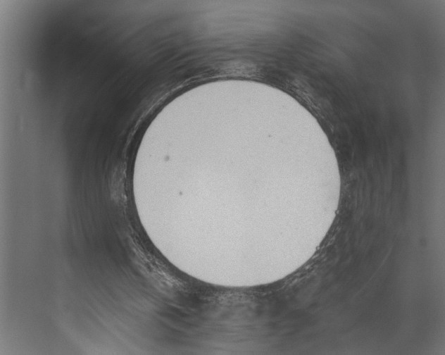 X0000073840146200608241026