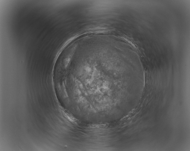 X0000073840147200608241026