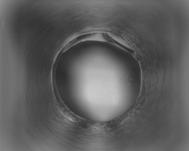 X0000073840148200608241026