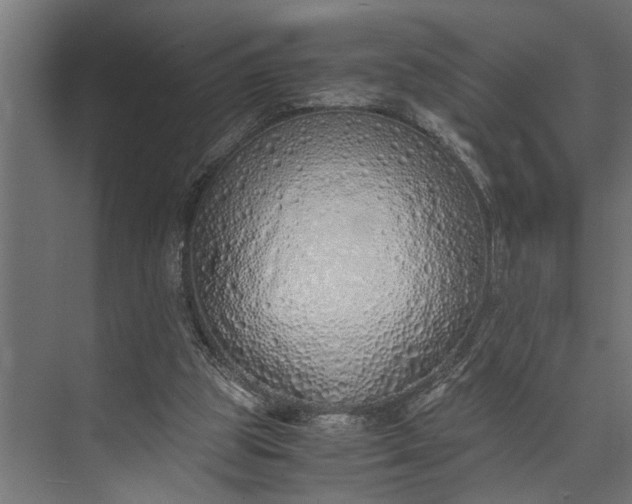 X0000073840153200608241026