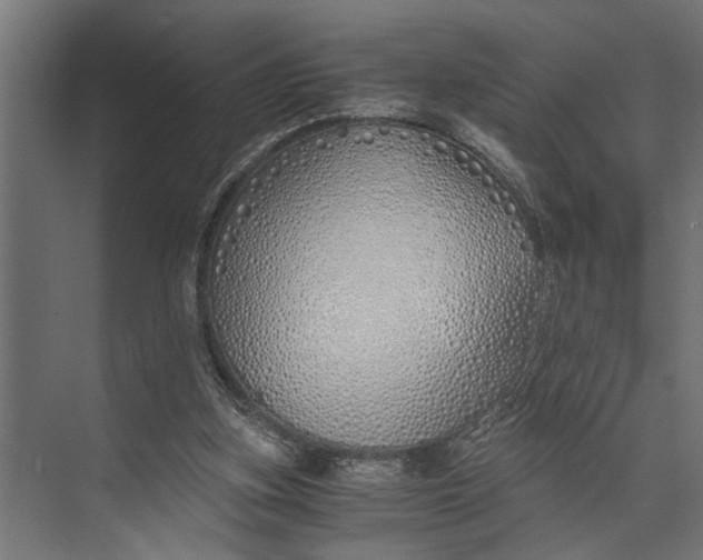 X0000073840155200608241026