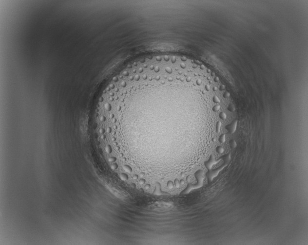 X0000073840159200608241026