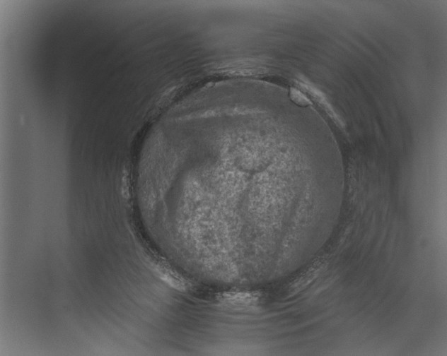 X0000073840161200608241026