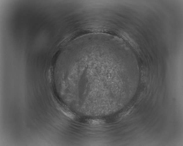 X0000073840165200608241026