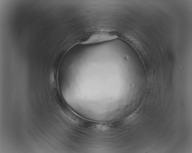 X0000073840166200608241026