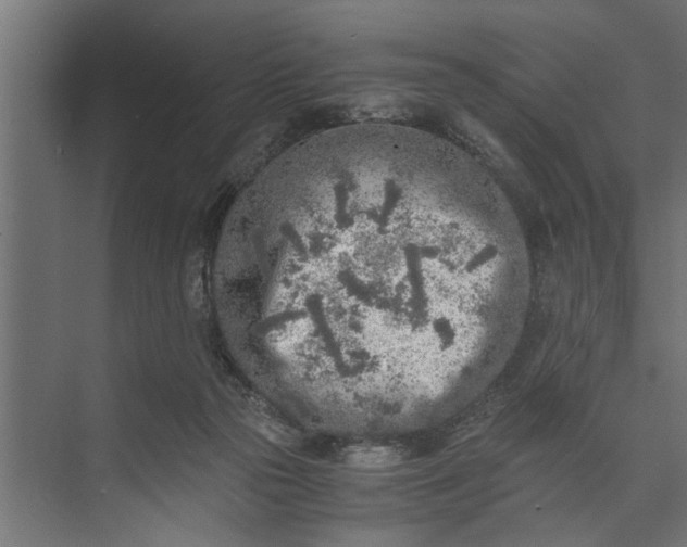 X0000073840169200608241026