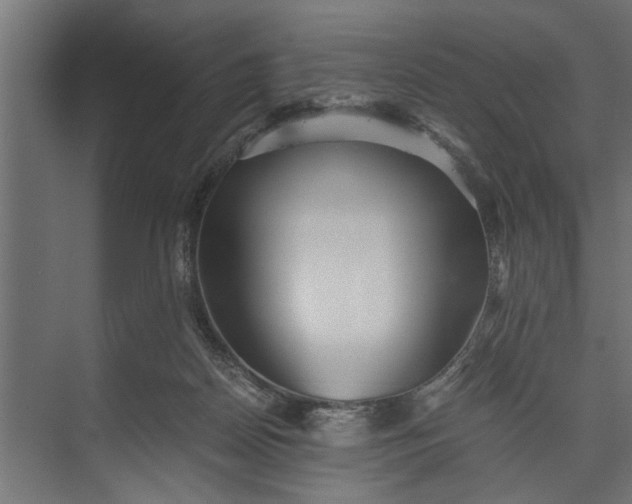 X0000073840170200608241026