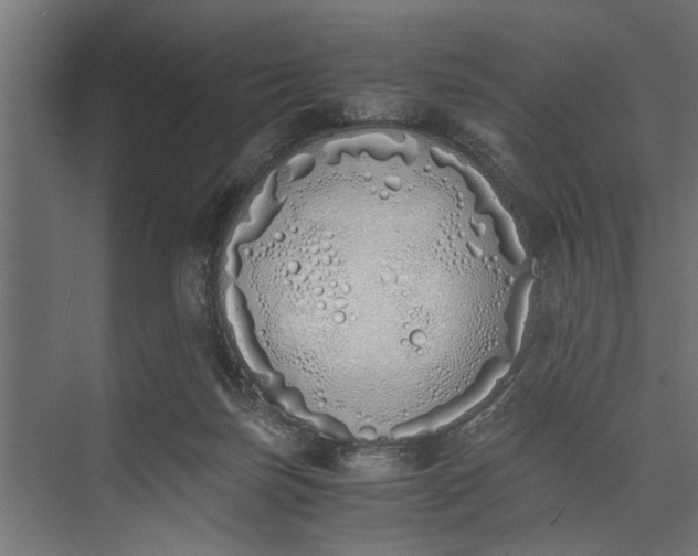 X0000073840171200608241026