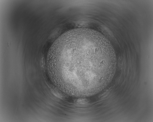 X0000073840173200608241026