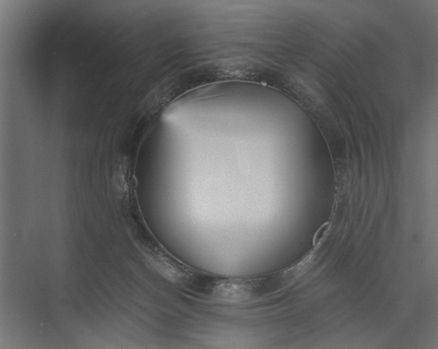 X0000073840174200608241026