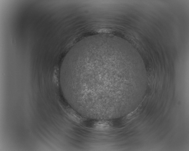 X0000073840175200608241026