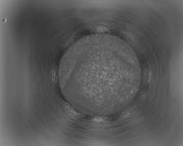 X0000073840177200608241026