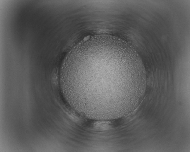 X0000073840179200608241026