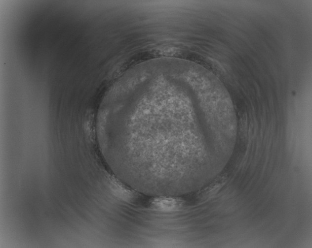 X0000073840181200608241026