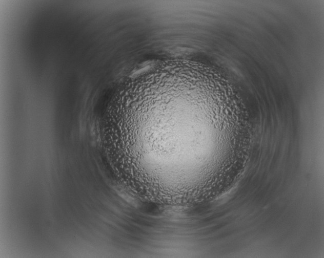 X0000073840182200608241026