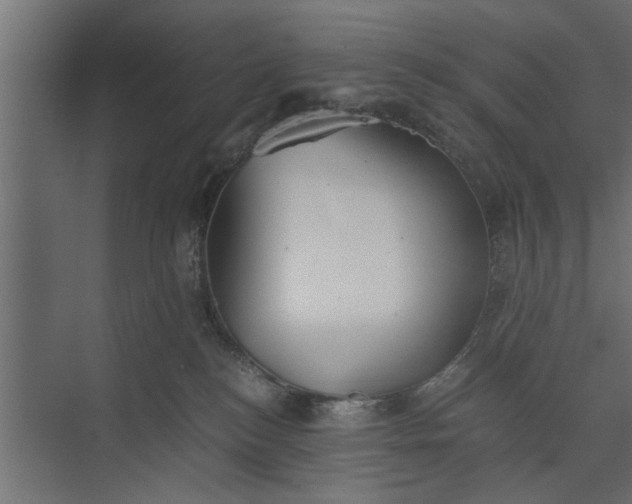 X0000073840184200608241026