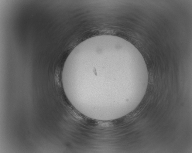 X0000073840185200608241026