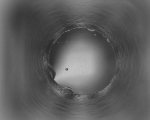 X0000073840186200608241026