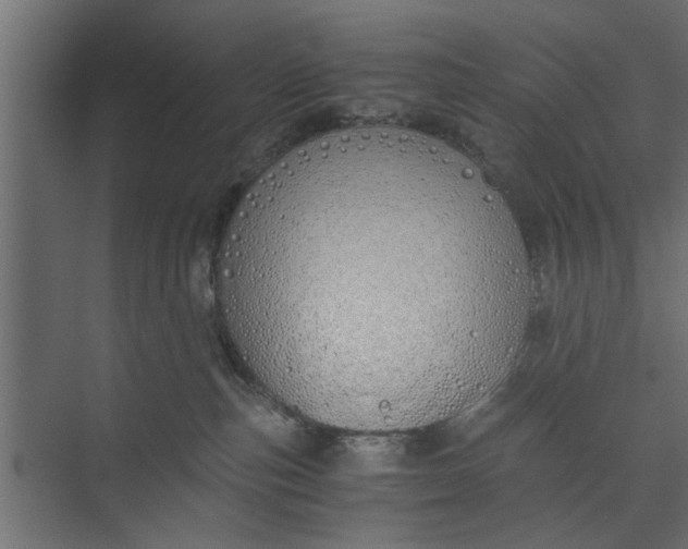 X0000073840187200608241026