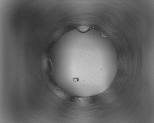 X0000073840188200608241026