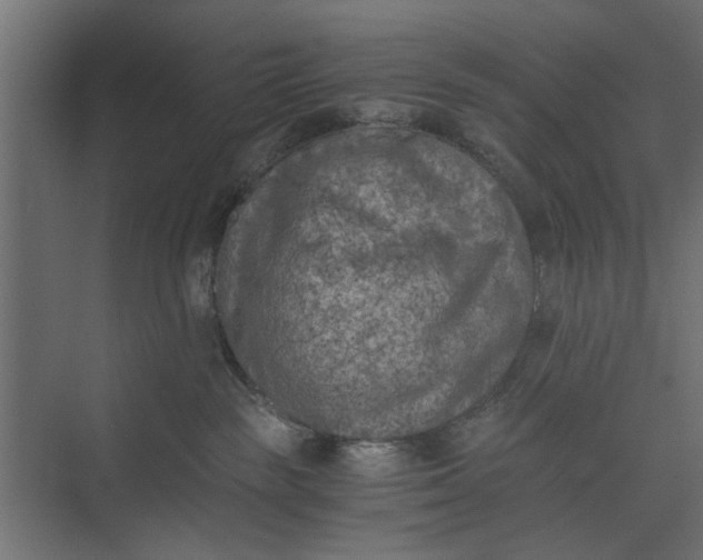 X0000073840189200608241026