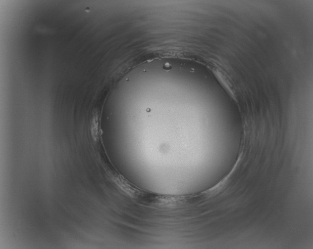 X0000073840190200608241026