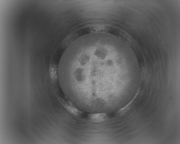 X0000073840191200608241026