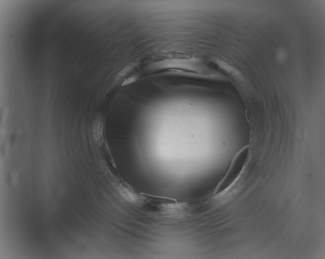 X0000073840192200608241026