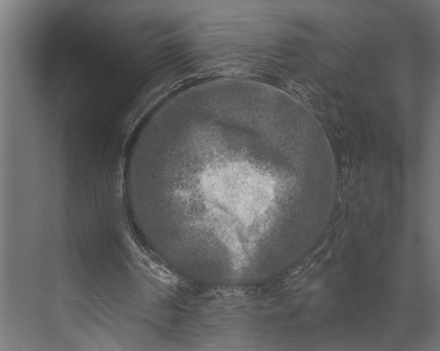 X0000073840194200608241025