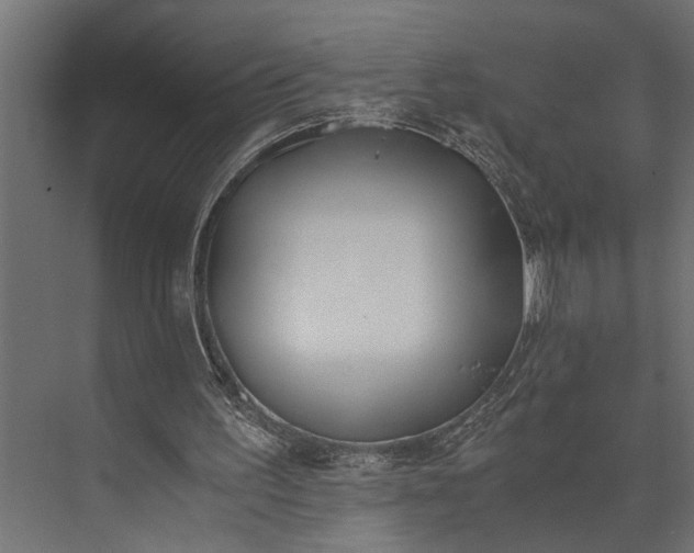 X0000073840195200608241025