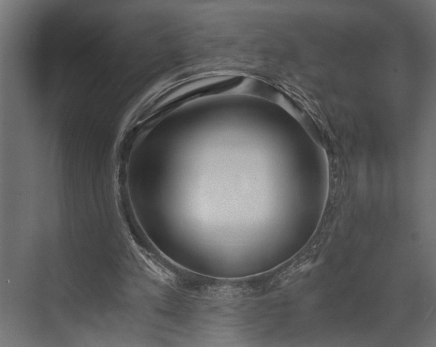 X0000073840197200608241025