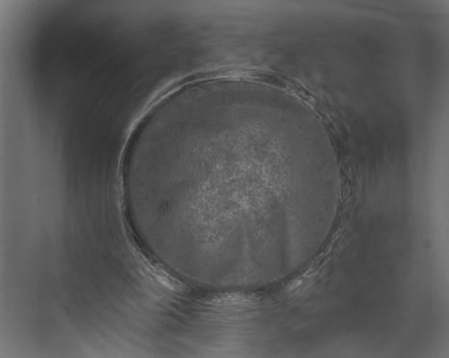 X0000073840198200608241025