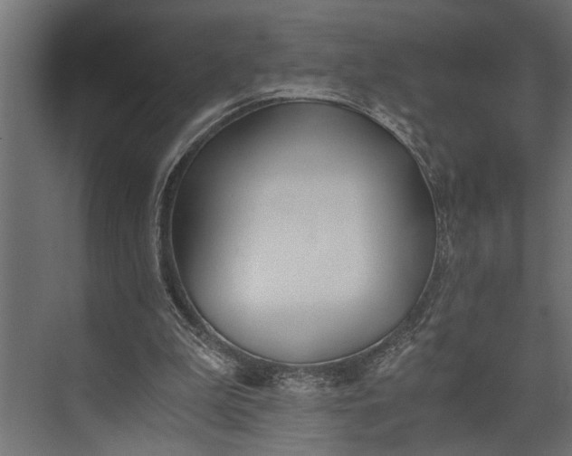 X0000073840199200608241025