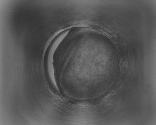 X0000073840200200608241025